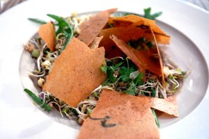 Sprouting seeds & grains, miso aubergine, crispy citrus chicken skin,_14942458331_l