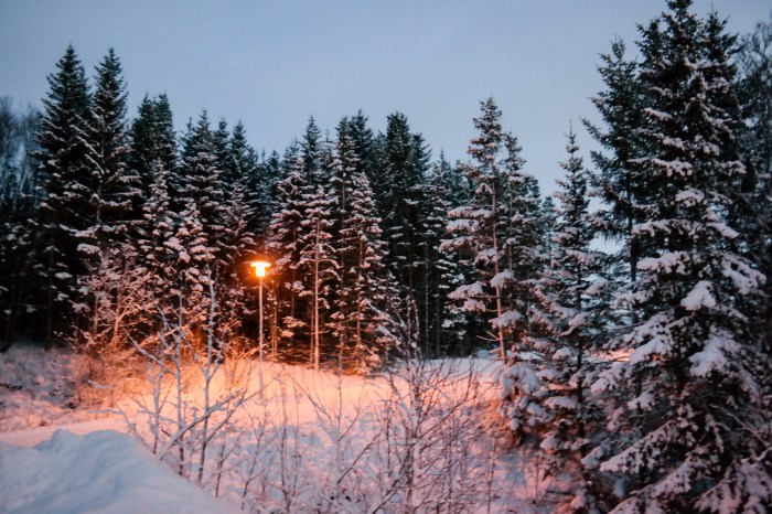 lrm_export_20170101_162255